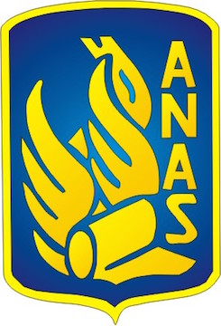 Logo Anas