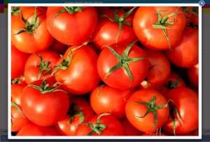 Pomodoro agricoltura alimentazione prodotti