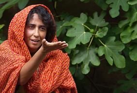 Monteprandone, la Pietraia dei poeti presenta l’Etiopia di Gabriella Ghermandi