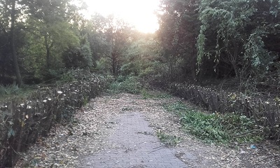 Ancona parco ex provincia potature