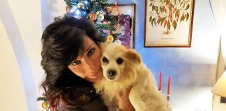 Sisma Marche: la nuova vita di Gino, cane anziano e malato