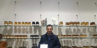 Il miglior miele di girasole delle Marche è della Mieleria di San Lorenzo