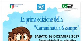 Ascoli Piceno, passeggiata ludico-educativa con gli amici a 4 zampe Camminata a 6 zampe