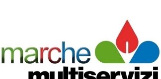 marche-multiservizi