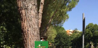 PESARO COLONNINA 10 VIA BASENTO