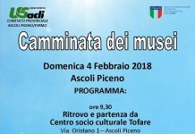 Camminata Dei Musei 04-02-2018