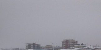 Così candida e forte, la neve non abbandona Fano