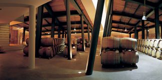 7° Master of Wine: a Osimo il corso per aspiranti guru mondiali del vino Umani-Ronchi-interno-barricaia