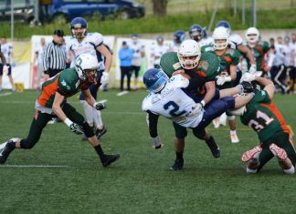 GLS Dolphins Ancona sconfitti in casa da Milano 0-35 GLS Dolphins Ancona