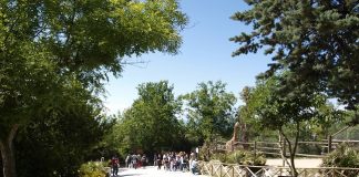 Salvaguardia delle biodiversità, lezione al Parco Zoo Falconara Parco Zoo Falconara