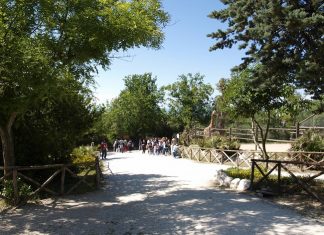 Salvaguardia delle biodiversità, lezione al Parco Zoo Falconara Parco Zoo Falconara