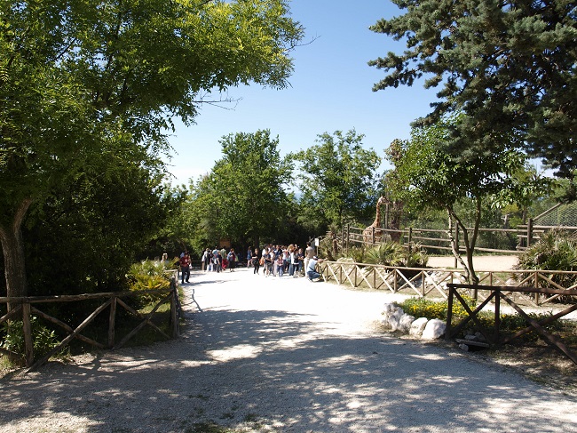 Parco Zoo Falconara