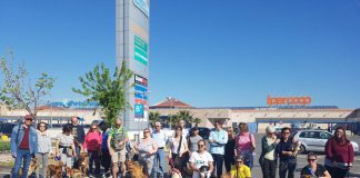 Camminata a 6 zampe: il bilancio della giornata a San Benedetto camminata 6 zampe