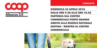 Camminata a 6 zampe a San Benedetto il 22 aprile ponti camminata 6 zampe aprile