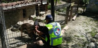 Arquata del Tronto ultima tappa tour aiuti agli animali