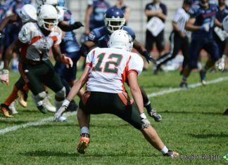 Giants Bolzano – GLS Dolphins Ancona, la presentazione della partita Giants Bolzano GLS Dolphins Ancona presentazione partita