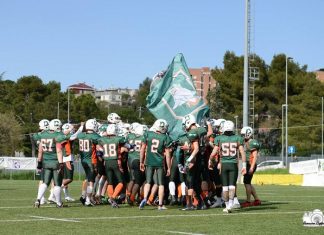 Rugby, i GLS Dolphins Ancona ai playoff Rugby GLS Dolphins Ancona playoff