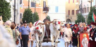 Pergola Notte Verde Serata Medievale