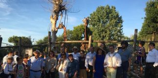 zoo Falconara Rotary