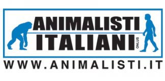 Bambino ferito a Osimo, il commento di Animalisti Italiani