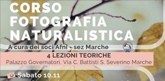 San Severino Marche, Corso di fotografia naturalistica: il 10 novembre il primo incontro