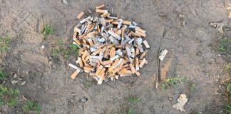 Legambiente: 2 parchi pubblici monitorati ad Ancona, trovati 331 rifiuti