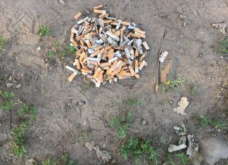 Legambiente: 2 parchi pubblici monitorati ad Ancona, trovati 331 rifiuti