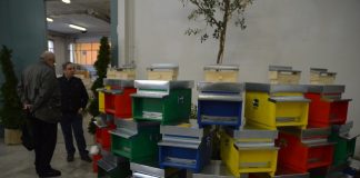 San Severino Marche, il 20 e 21 ottobre torna il “Weekend dell’apicoltore”