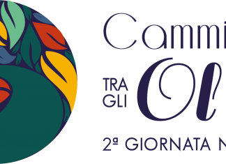 Camminata tra gli olivi il 28 ottobre a Pesaro e Ancona