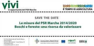 Acqualagna, il 4 novembre seminario Psr Marche dedicato a boschi e foreste