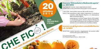 Marche, 400 alunni vincitori del concorso Assam-Regione