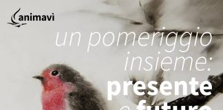 Pergola, “Un pomeriggio insieme: presente e futuro di Animavì”