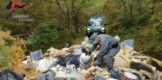 Rifiuti speciali nel bosco, nei guai un imprenditore e due operai