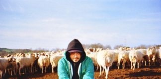 Annunciata la Data Zero del tour di Calcutta, il 17 gennaio al PalaRossini di Ancona