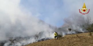 Paura a Sassoferrato: a fuoco sottobosco e terreno incolto, bruciati 8.000 mq di superficie