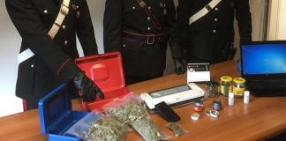 355 grammi di marijuana nelle fioriere, in manette un 33enne di Fermignano