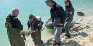 Moria di carpe nel lago di Caccamo, indagano i Carabinieri Forestali