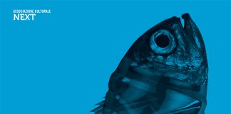 Senigallia, “Fosforo 2019”: dal 10 al 12 maggio la Festa della Scienza