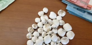 Cocaina e hashish in casa, arrestati 2 tunisini: sotto sequestro 3.625 euro