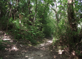 Parco del Conero, approvato il Bilancio 2019