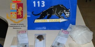 Aveva con sé oltre 50 grammi tra marijuana e hashish, arrestato giovane spacciatore