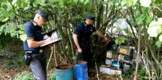 Discarica abusiva di rifiuti pericolosi in un’area sequestrata dalla Gdf, denunciato il proprietario