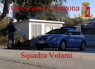 Droga, controlli nelle scuole con i cani poliziotto Hermes ed Edox