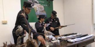 Sassoferrato, i Carabinieri forestali denunciano 2 bracconieri