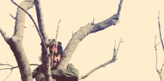 Vinicio Capossela in concerto a Pesaro: ecco quando