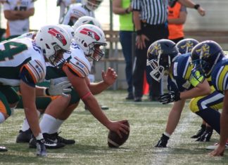 GLS Dolphins Ancona: Under 19, vittoria per 6-39 a Modena contro i Vipers