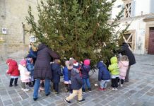 L'albero in piazza addobbato dai bambini di Camerino (1)
