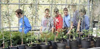 Macerata, orientamento: Scuola Aperta all’Istituto Agrario