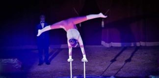 Senigallia, Maya Orfei Circo Madagascar dal 7 all’11 febbraio