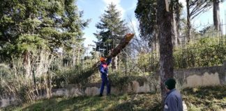 San Severino, maltempo: prosegue la conta dei danni causati dal vento